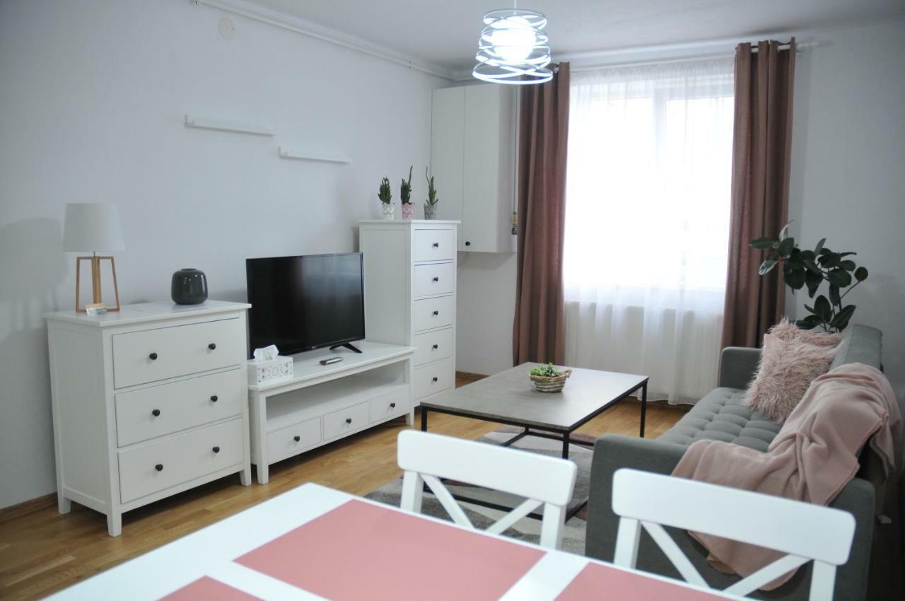 Ana Cristina Apartament Sighişoara Eksteriør billede