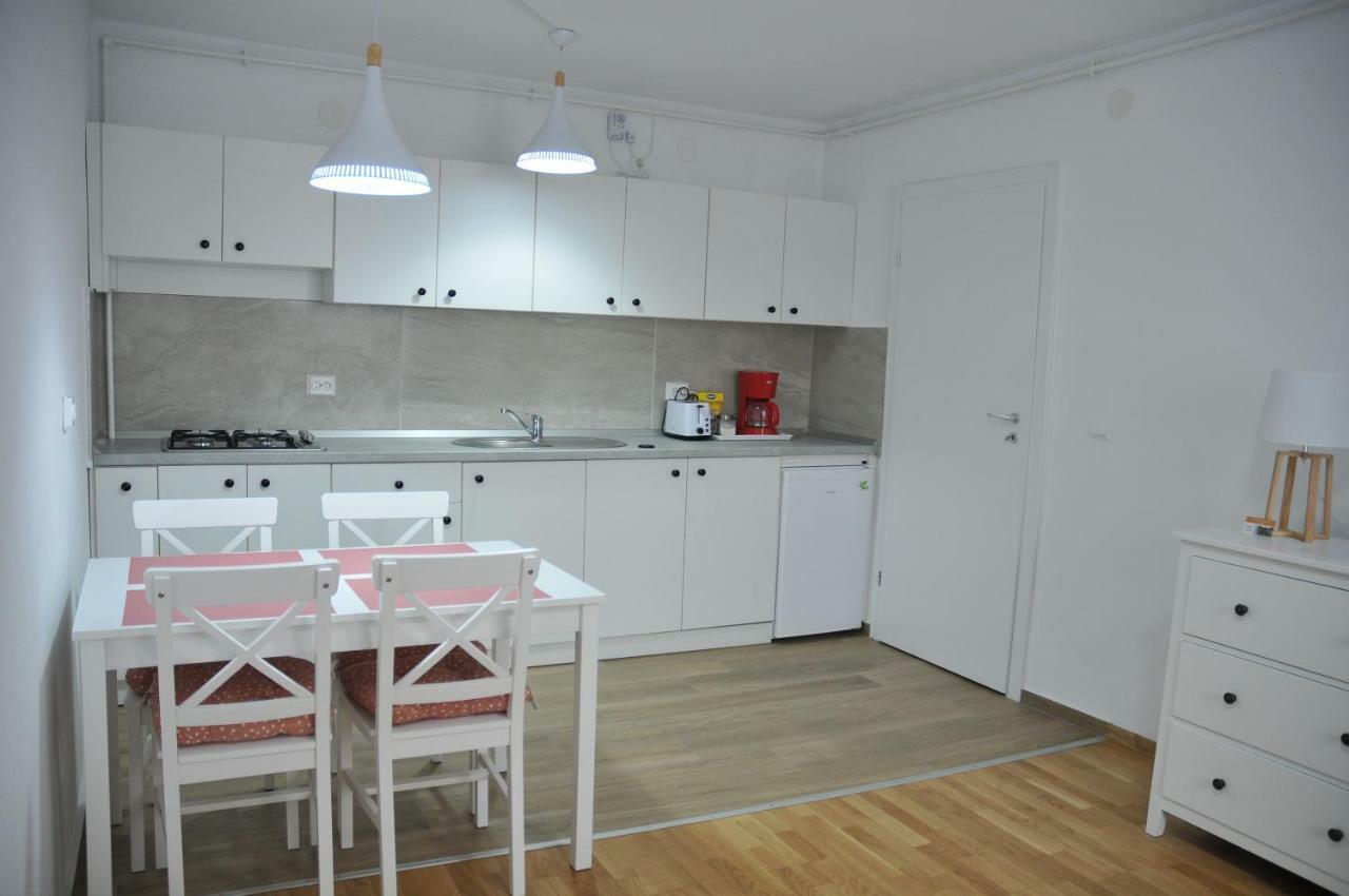 Ana Cristina Apartament Sighişoara Eksteriør billede